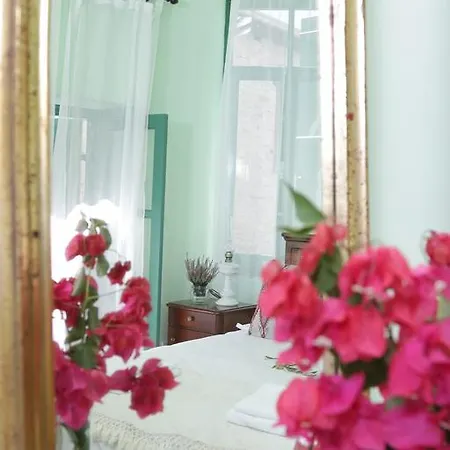 To Konatzi Tis Marikas Tzai Tou Yianni Kato Drys