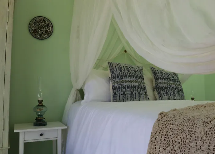 To Konatzi Tis Marikas Tzai Tou Yianni Kato Drys